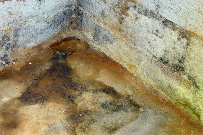 Reduces the risk of mold and mildew.